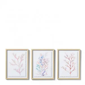 Coral Parchment Paper Wall Art 3 Assorted - 30 x 2.5 x 40cm by Elme Living, a Painted Canvases for sale on Style Sourcebook