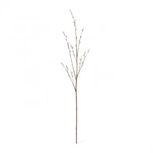 Pussy Willow Branch - 30 x 14 x 127cm by Elme Living, a Plants for sale on Style Sourcebook