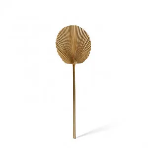 Fan Palm Mini Dried Stem - 15 x 1 x 45cm by Elme Living, a Plants for sale on Style Sourcebook