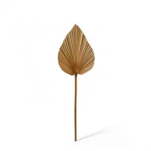 Fan Palm Mini Heart Dried Stem - 15 x 1 x 50cm by Elme Living, a Plants for sale on Style Sourcebook