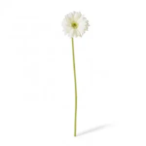 Gerbera Daisy Stem - 13 x 13 x 53cm by Elme Living, a Plants for sale on Style Sourcebook