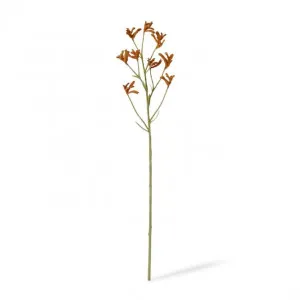 Kangaroo Paw Spray - 13 x 5 x 71cm by Elme Living, a Plants for sale on Style Sourcebook