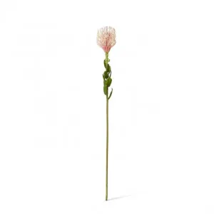 Pin Cushion Stem - 7 x 8 x 63cm by Elme Living, a Plants for sale on Style Sourcebook