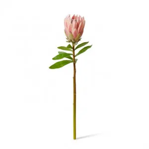 Protea King Stem - 12 x 12 x 68cm by Elme Living, a Plants for sale on Style Sourcebook