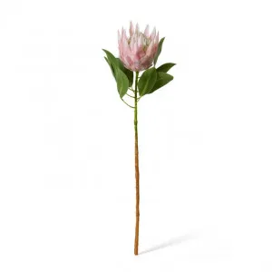 Protea King Stem - 20 x 13 x 74cm by Elme Living, a Plants for sale on Style Sourcebook