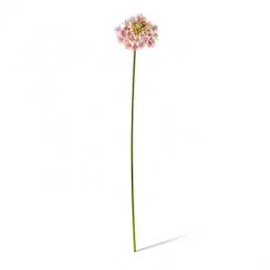 Star Flower Stem - 13 x 7 x 76cm by Elme Living, a Plants for sale on Style Sourcebook