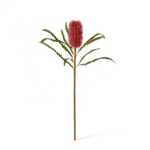 Banksia Stem - 20 x 8 x 65cm by Elme Living, a Plants for sale on Style Sourcebook