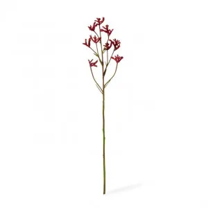 Kangaroo Paw Spray - 13 x 5 x 71cm by Elme Living, a Plants for sale on Style Sourcebook