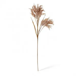Pampas Field Grass Decor Spray - 30 x 30 x 120cm by Elme Living, a Plants for sale on Style Sourcebook