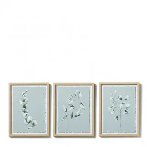 Native Leaf Parchment Paper Wall Art 3 Assorted - 30 x 2.5 x 40cm by Elme Living, a Painted Canvases for sale on Style Sourcebook
