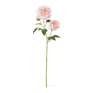 Peony Lillian Spray - 20 x 20 x 74cm by Elme Living, a Plants for sale on Style Sourcebook