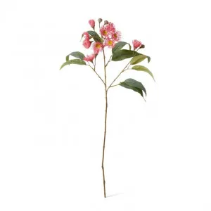 Eucalyptus Flowering Spray - 17 x 8 x 76cm by Elme Living, a Plants for sale on Style Sourcebook