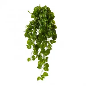 Pothos Hanging Plant - 40 x 25 x 90cm by Elme Living, a Plants for sale on Style Sourcebook