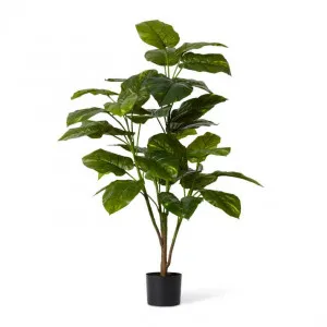 Pothos Potted - 70 x 70 x 127cm by Elme Living, a Plants for sale on Style Sourcebook