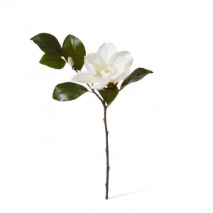 Magnolia Flower Spray - 31 x 23 x 81cm by Elme Living, a Plants for sale on Style Sourcebook