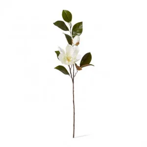 Magnolia Flower with Bud Spray - 37 x 26 x 102cm by Elme Living, a Plants for sale on Style Sourcebook
