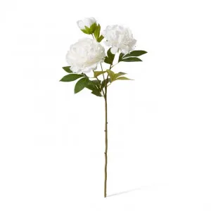 Peony Queen Spray - 30 x 20 x 76cm by Elme Living, a Plants for sale on Style Sourcebook