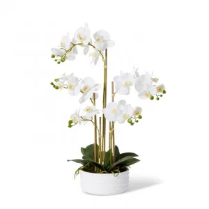 Phalaenopsis Textured Bowl - 35 x 25 x 65cm by Elme Living, a Plants for sale on Style Sourcebook