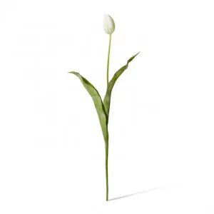 Tulip Stem - 9 x 3 x 74cm by Elme Living, a Plants for sale on Style Sourcebook