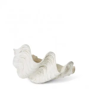 Clam Shell Sculpture - 24 x 20 x 12cm by Elme Living, a Statues & Ornaments for sale on Style Sourcebook