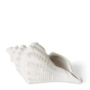 Conch Shell - 25 x 14 x 12cm by Elme Living, a Statues & Ornaments for sale on Style Sourcebook