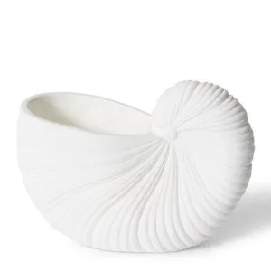 Conch Shell Pot - 26 x 13 x 19cm by Elme Living, a Plant Holders for sale on Style Sourcebook