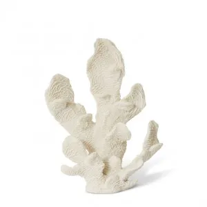 Coral Elkhorn Sculpture - 26 x 14 x 34cm by Elme Living, a Statues & Ornaments for sale on Style Sourcebook