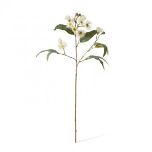 Eucalyptus Flowering Spray - 17 x 8 x 76cm by Elme Living, a Plants for sale on Style Sourcebook