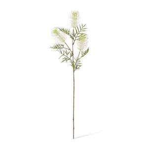 Grevillea Spray - 21 x 9 x 84cm by Elme Living, a Plants for sale on Style Sourcebook