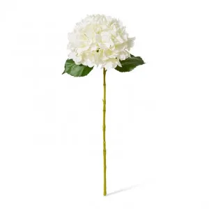 Hydrangea Classic Large Stem - 20 x 20 x 65cm by Elme Living, a Plants for sale on Style Sourcebook