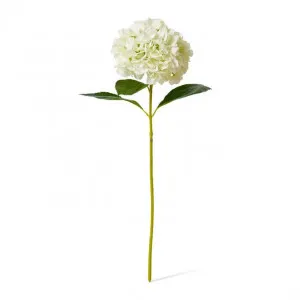 Hydrangea Grand Stem - 25 x 25 x 69cm by Elme Living, a Plants for sale on Style Sourcebook