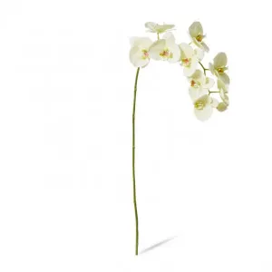Phalaenopsis Lush Stem - 35 x 15 x 97cm by Elme Living, a Plants for sale on Style Sourcebook