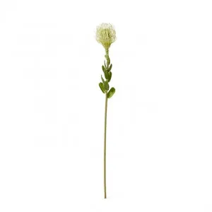 Pin Cushion Stem - 7 x 8 x 63cm by Elme Living, a Plants for sale on Style Sourcebook