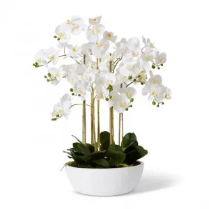 Phalaenopsis Curved Bowl - 80 x 80 x 85cm by Elme Living, a Plants for sale on Style Sourcebook