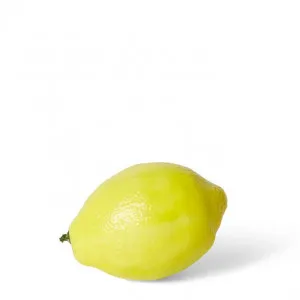 Lemon - 7 x 7 x 10cm by Elme Living, a Plants for sale on Style Sourcebook