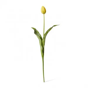 Tulip Stem - 9 x 3 x 74cm by Elme Living, a Plants for sale on Style Sourcebook
