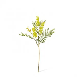 Wattle Pick - 10 x 4 x 33cm by Elme Living, a Plants for sale on Style Sourcebook