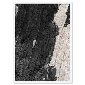 Gumtree | Charred Eucalypt III - Art Print by Print and Proper, a Prints for sale on Style Sourcebook