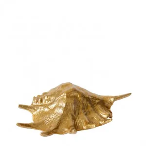 Murex Shell Sculpture - 33cm x 19cm by James Lane, a Decor for sale on Style Sourcebook