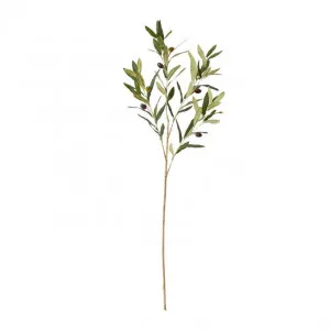 Olive Spray Grey Green - 97cm by James Lane, a Plants for sale on Style Sourcebook