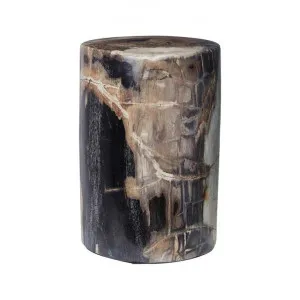 Binga Petrified Wood Accent Stool / Side Table, Type C by Florabelle, a Side Table for sale on Style Sourcebook