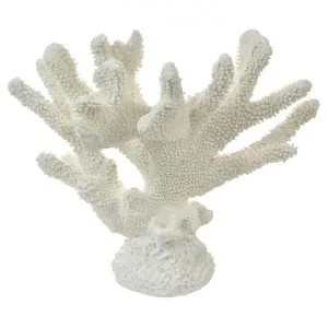 Moffats Anemone Coral Sculpture by Coast To Coast Home, a Statues & Ornaments for sale on Style Sourcebook