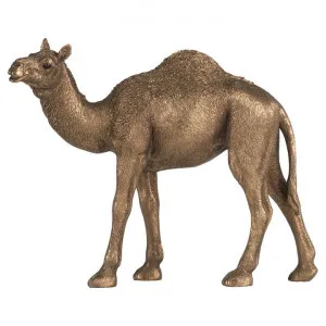 Walton Camel Statue by Affinity Furniture, a Statues & Ornaments for sale on Style Sourcebook