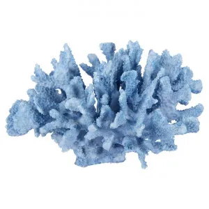 Wallace Coral Sculpture, Large, Blue by Affinity Furniture, a Statues & Ornaments for sale on Style Sourcebook