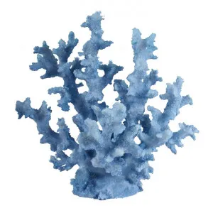 Wallace Coral Sculpture, Extra Large, Blue by Affinity Furniture, a Statues & Ornaments for sale on Style Sourcebook
