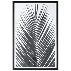 Lamington Framed Photography Wall Art Print, Type A, 90cm by Casa Bella, a Artwork & Wall Decor for sale on Style Sourcebook