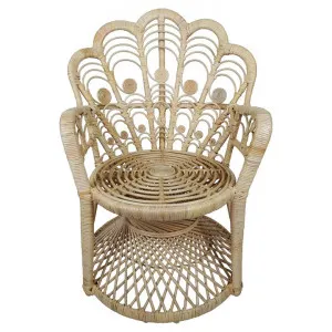 Valencia Rattan Peacock Chair by Brighton Home, a Chairs for sale on Style Sourcebook