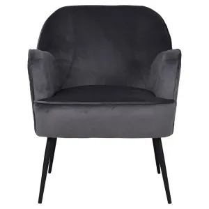 Chuck Velvet Fabric Accent Armchair, Seal Grey by Brighton Home, a Chairs for sale on Style Sourcebook