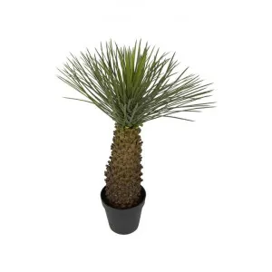 Potted Artificial Hedgehog Grass Tree, 90cm by Florabelle, a Plants for sale on Style Sourcebook