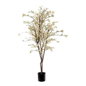 Potted Artificial Cherry Blossom Tree, 150cm by Florabelle, a Plants for sale on Style Sourcebook